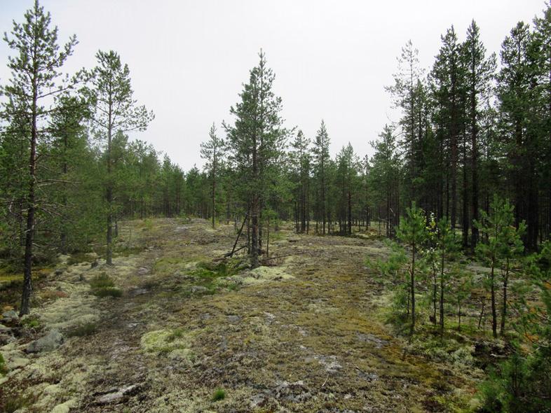 27 Voimalapaikka Leppäkivenrämeen