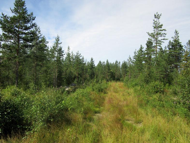 41 28 Tielinjan ja voimalapaikan vaikutusaluetta pohjoiseen Lahdennevan