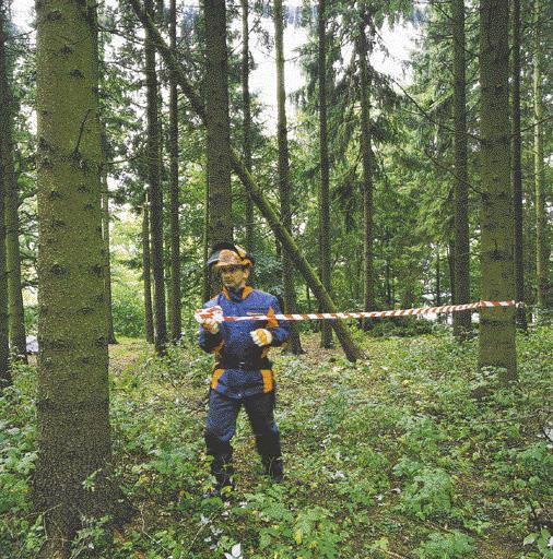 Konkelonlaukaiseminen Älä koskaan jätä latvastaan roikkumaan jäänyttä puuta