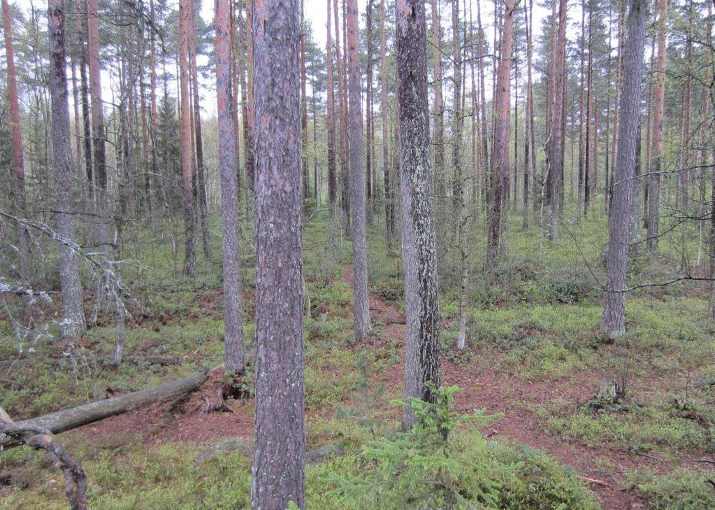 Espoon kaupunki