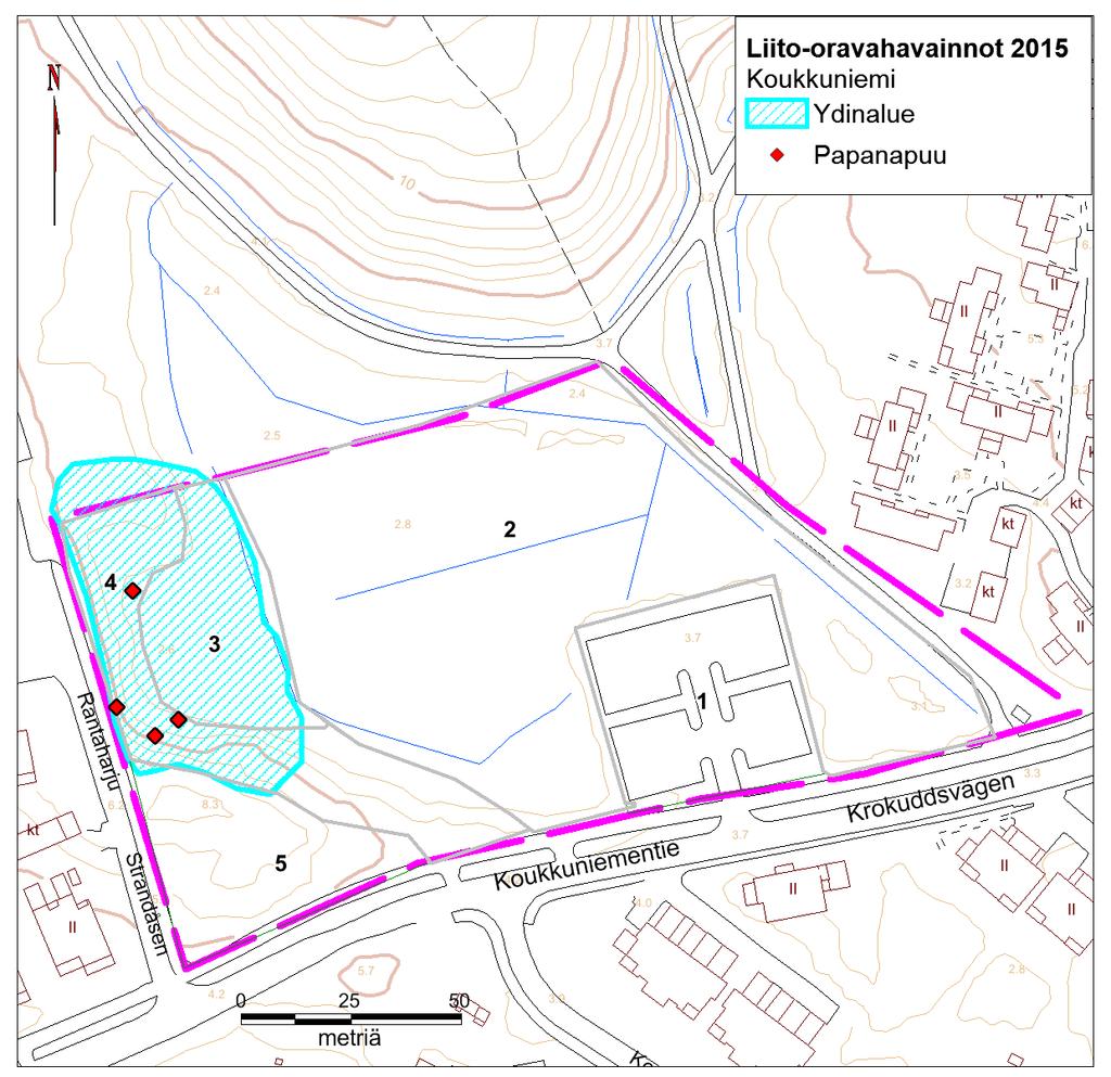 joispuolelle. Alueella ovat liikkuneet radiopantaseurannassa liito-oravaurokset Roope ja Ville (Ympäristötutkimus Yrjölä 2013, s. 14-15).