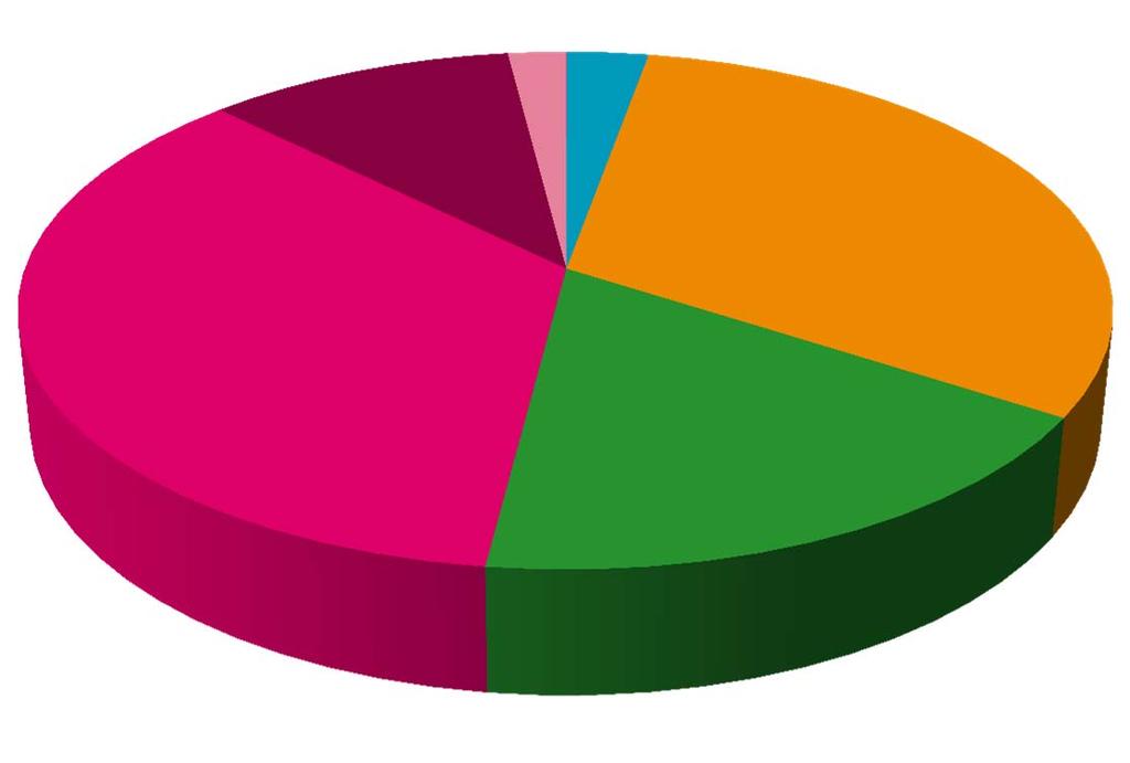 Taloustilanne lukuina Peruskunta, toimintatulot (1000 t ) Yhteensä 170,1 miljoonaa euroa 59 934 18 000 3 403 4 785 30 347 53 000 KAUPUNGINHALLITUS yhteensä KAUPUNGINHALLITUS yhteensä