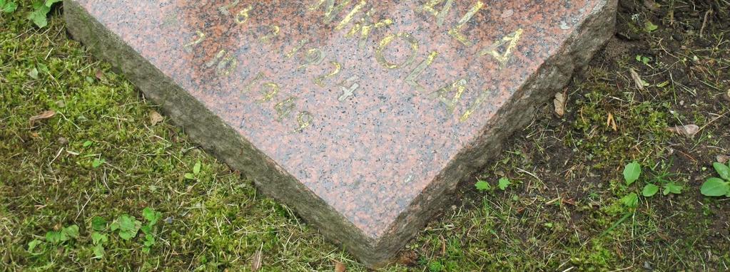Ympäristö Sankarihautausmaa sijaitsee Akaan hautausmaan pohjoisosassa ns. vanhalla puolella, osastossa B11.