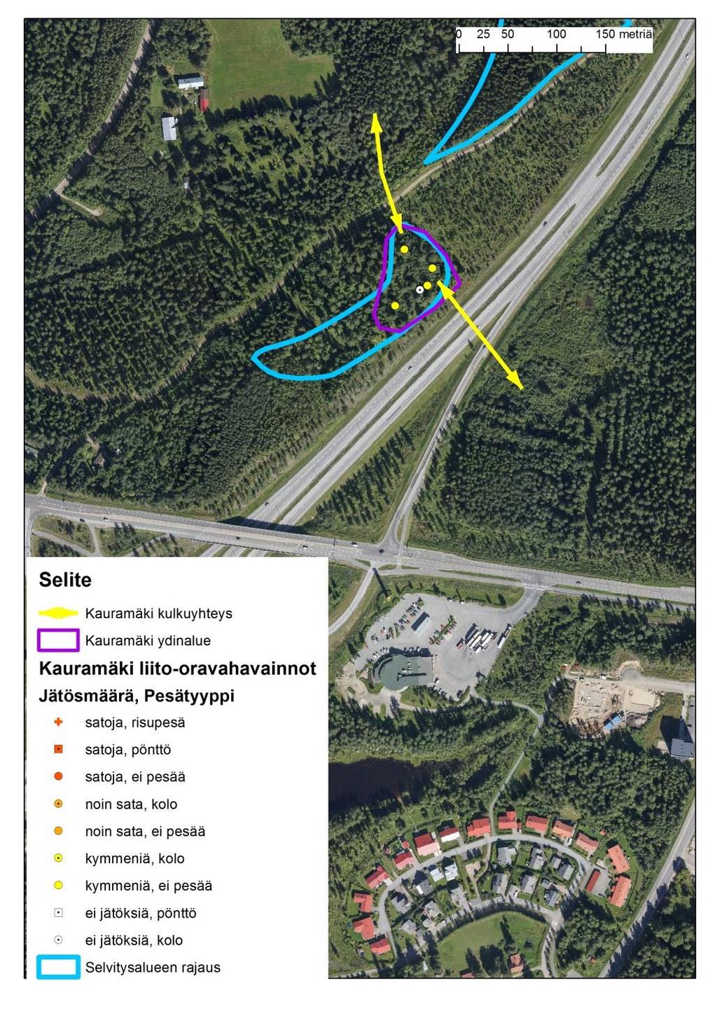 3 Inventointitulokset Selvitysalueen pohjoisin kuvio on osittain hakattu vuonna 2008, ja hakkuuaukko on istutettu kuuselle.