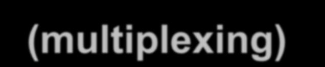 otsakkeesta application P3 transport network link application P1 P2 transport network link physical application P4 transport network link