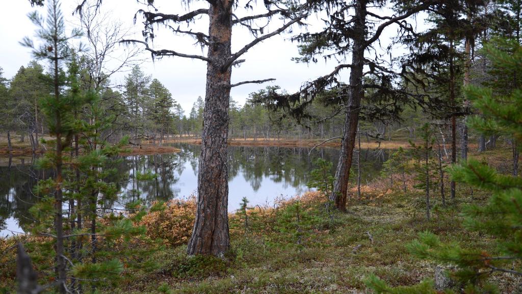 Liite 1. Kun korko on nolla saadaan keskimääräiseksi vuotuiseksi haitaksi H 0 per kiertoaika T (105v): H 0.8 30v 0.