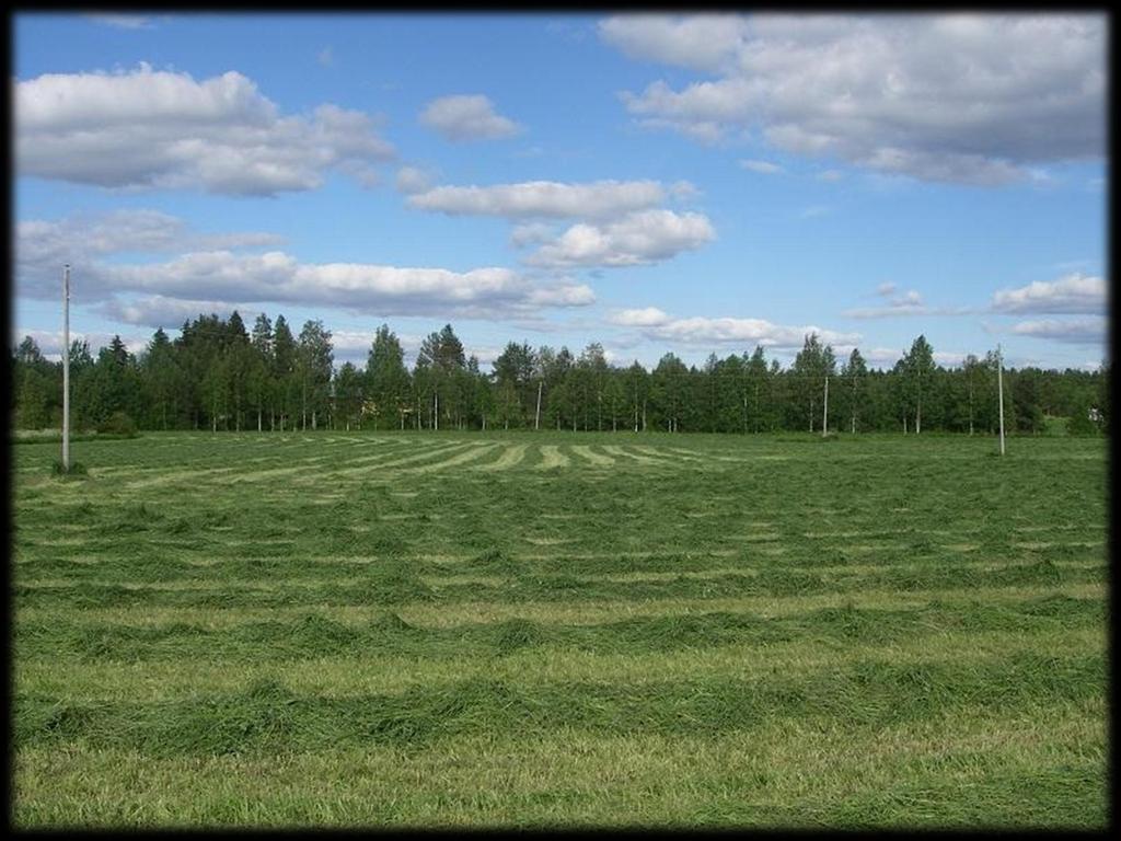 Kuopion maaseutuohjelma 2013-2016 o Tehostaa kaupungin,