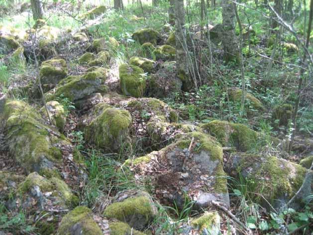 Kivet ovat 20 30 cm kokoisia pyöreäkulmaisia kiviä. Mahdollisesti kyseessä on peltoröykkiö.