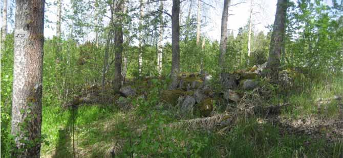 KIVIRAKENTEET RÖYKKIÖT Röykkiö 1 Peltoröykkiö metsäisessä saarekkeessa kalliopohjalla. 12 (W E) x 6 m, korkeus 40 60 cm.