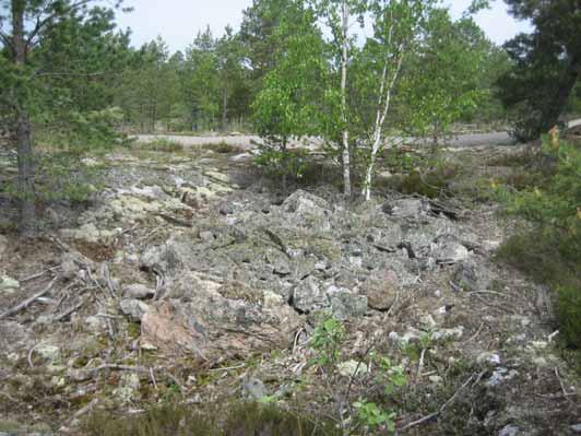 205381, 6786657. Röykkiö 8 Kallion notkoon tien viereen koottu sälpäkivikasa, 6 (N S) x 3 x 0,4 m kokoinen.