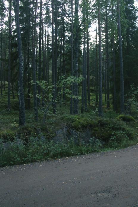 Lohko 3 Lohkolla on havupuuvaltaista, paikoin melko nuorta sekametsää. Metsätyyppi on pääosin mustikkatyypin tuoretta kangasta ja paikoin kuivempaa puolukkatyypin kangasta.