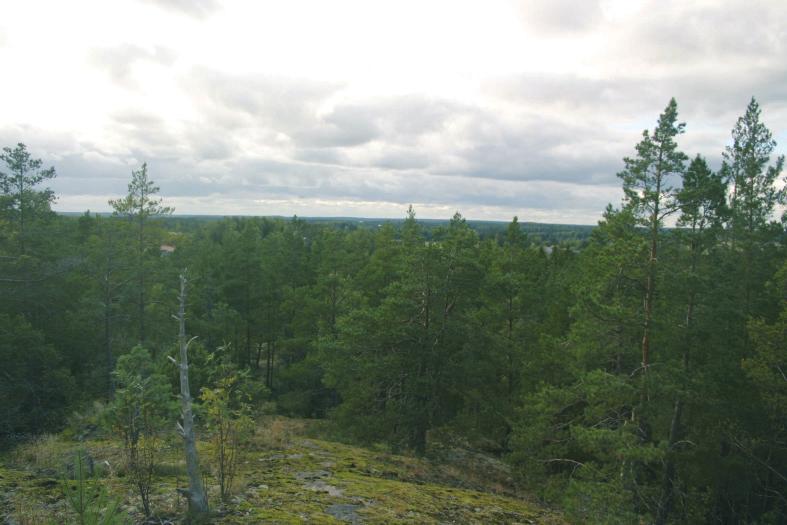 Lohko 6 Lohko koostuu kahdesta kalliokumpareesta. Länsipuoleinen kumpare on korkea ja hyvin rikkonainen. Kallio on erittäin näyttävä ja siitä on upeat näkymät pohjoisen ja lännen suuntaan.