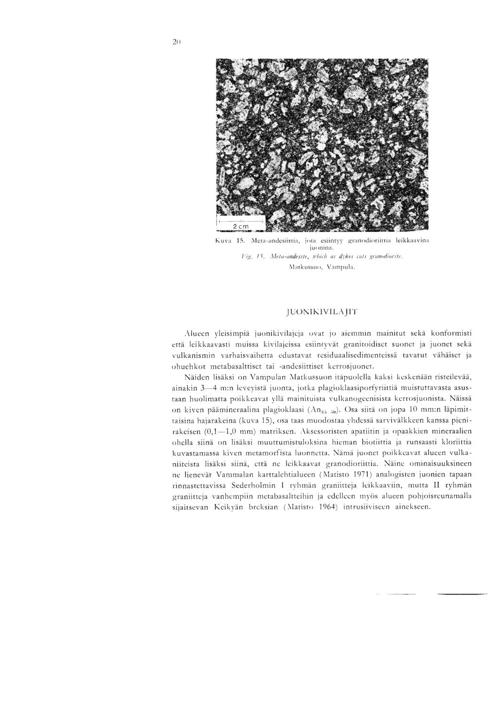 2 0 Kuva 15. Nlcta-andcsiittia, jota esiintvv,granodiuriittia leiki iavina juonina. fill. 15, Alela-andesite, ndiielj as dyke nrlr,oranodiiri e. \lrntkussuo, Varnpula.
