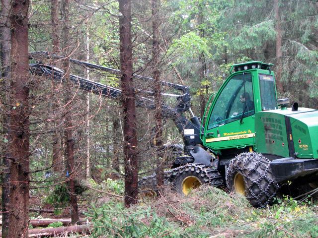 Kesäleimikoilla on kysyntää jatkossakin Hakkuiden keskittyminen muutaman kuukauden mittaiseen talvisesonkiin aiheuttaa korjuun resurssiongelman, lisäkustannuksia puutavaran varastointiin ja