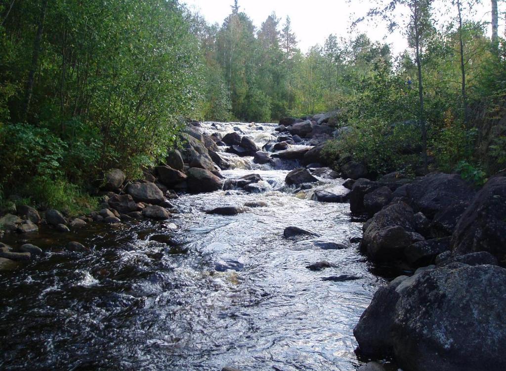 53 9 VEPSÄNJOEN KARTOITETUT KOSKET JA TOIMENPIDESUOSITUKSET 9.1 Ilvolankoski Vepsänjoen alin koskialue on Ilvolankoski.