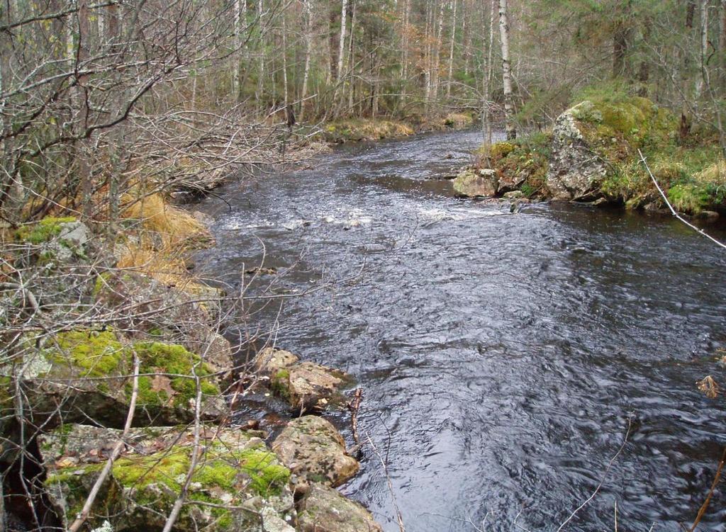250 mm kiviaineksella. Yläosan niskalta puuttui sora (7020425 3609054). Soraa olisi tuotava noin 4,5 m 3. 57 9.4 Ylä-Sorveuskoski Ylä-Sorveuskoski on hieman erillään varsinaisesta Sorveuskoskesta.