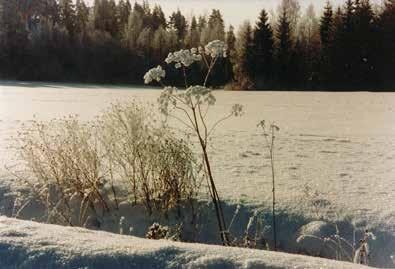 Lahti Käynti Kauppakadun puolelta