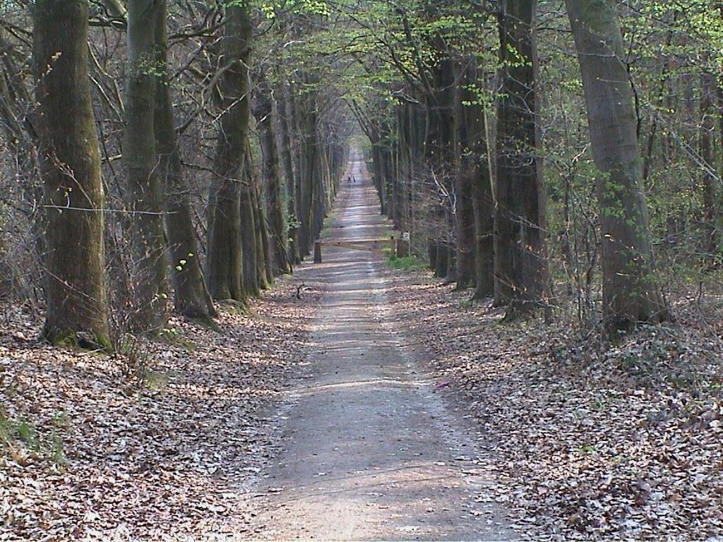 kahdella tavalla.