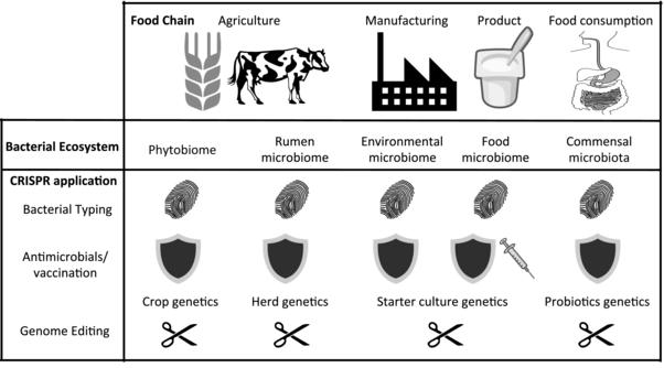 Geenimuokatut mikrobit Journal of Food Science Volume 80, Issue 11, pages R2367-R2372, 7 OCT 2015 DOI: