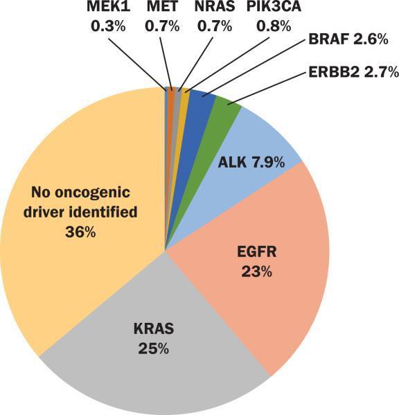 Adenocarcinomien ajuri-mutaatiot 733:ssa näytteessä 9.