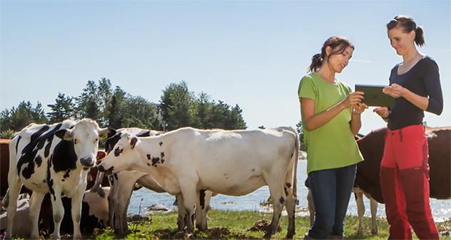 Raision vuosikertomus / Toimintaympäristö / Raisioagro Raisioagro jatkoi voimakasta panostusta digitaalisten palveluiden kehittämiseen.