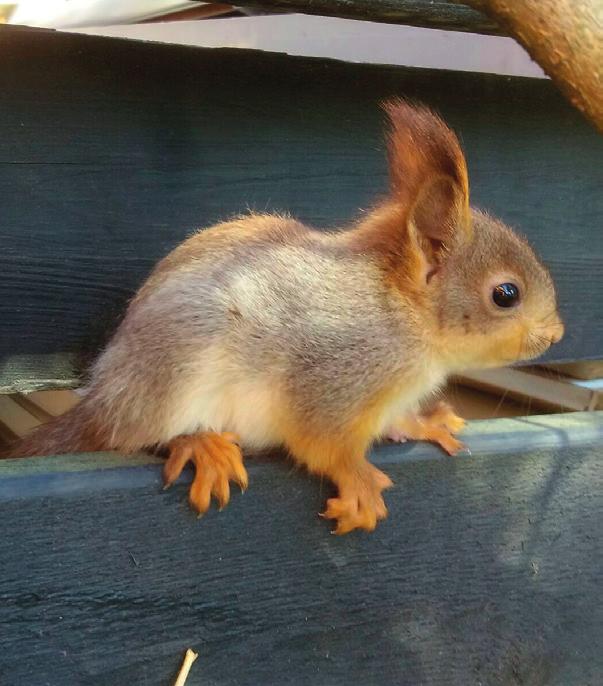 PÄÄKIRJOITUS Elämme aikaa, jossa muutokset ovat enemmän tuttua kuin harvinaista. Diabeetikot ovat joutuneet nyt maksamaan enemmän elintärkeistä lääkkeistä kuin viime vuonna.