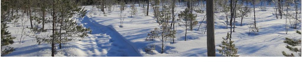 OLOFSGÅRDIN TUULIVOIMA- PUISTON