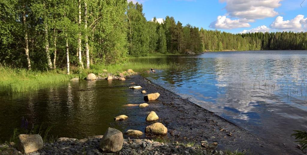 13 pilaantuneiden maiden kunnostusten valvonta yhdessä ELY-keskuksen kanssa), edistää pohjavesien suojelusuunnitelmien laatimista sekä osallistuu valtakunnalliseen leväseurantaan. Kuva 4: Sini Yli- 5.