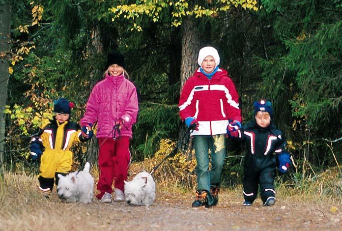 Asuntokunnat ja perheet 2007 TIETOISKU 9/2007 Sisällys 1 ASUNTOKUNNAT JA PERHEET 1.1 Asuntokuntien määrä ja koko 2 PERHEET 2.1 Perhetyyppi 2.2 Lapsiperheet 2.