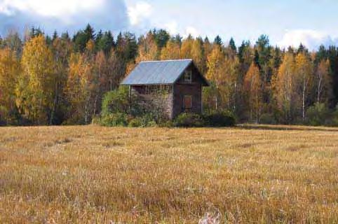 (3) Karjarakennus rakennettu 1920-1925, seinärakenne hirsi, luonnonkiviperustus, huopakate. Rakennus on ollut kylmänä varastona, mistä johtuen betoniset lattiat rikkoutuneet.