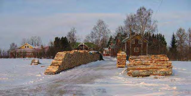 Tuomaala Vinkiäntieltä, itä-kaakon suunnasta katsottuna.