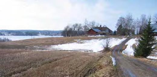 hirsinavetta ja sen länsipuolella ryhmässä vilja-aitta, riviaitta, sauna ja maakellari.