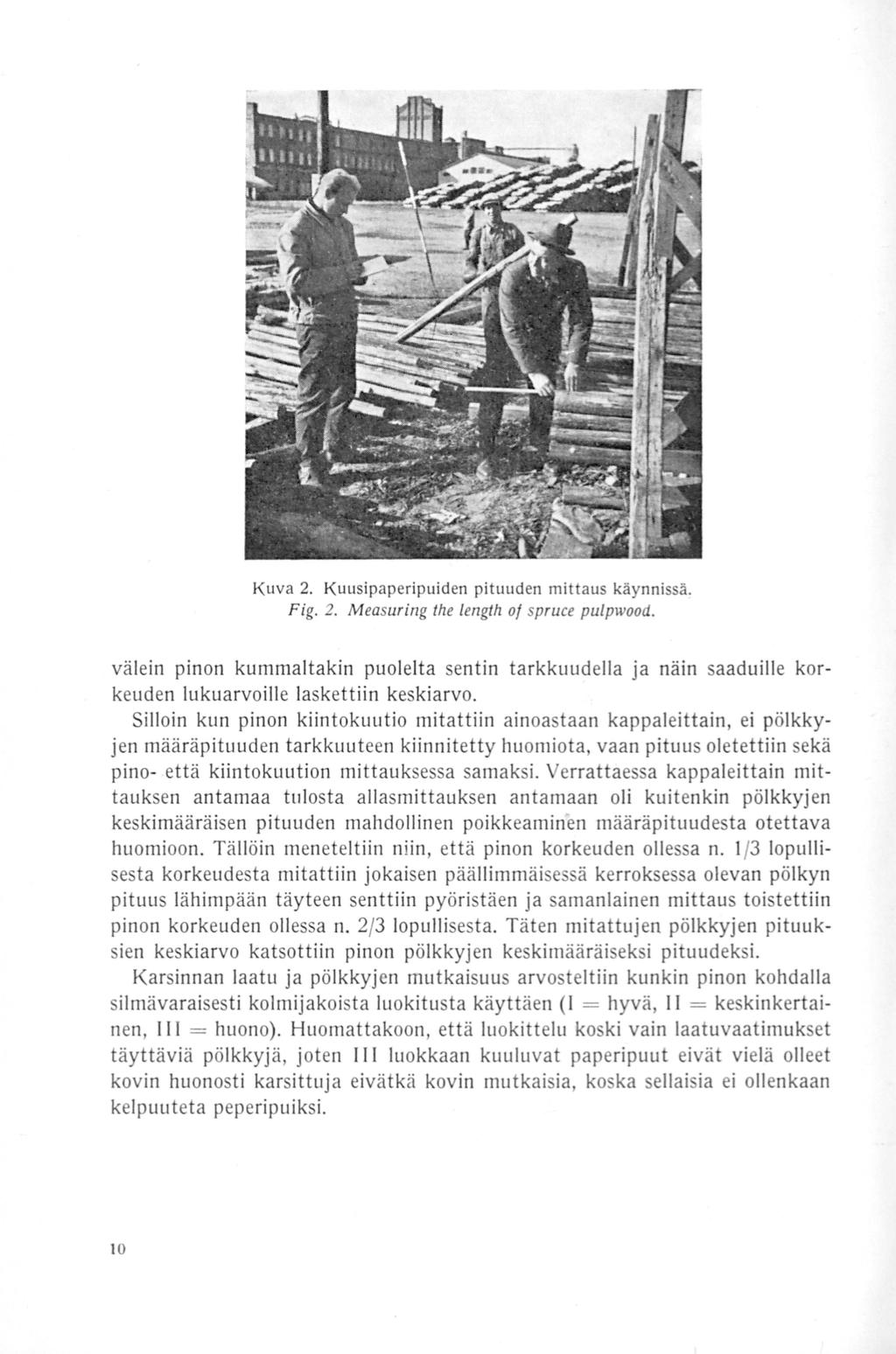 Kuva 2. Kuusipaperipuiden pituuden mittaus käynnissä. Fig. 2. Measuring the length oj spruce pulpwood.