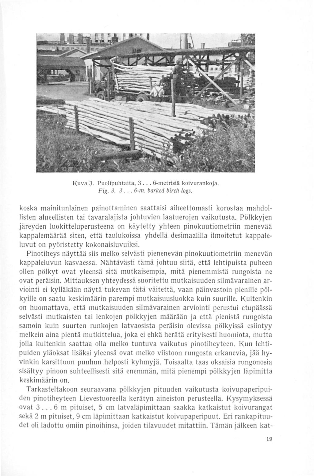 Kuva 3. Puolipuhtaita, 3... 6-metrisiä koivurankoja. Fig. 3. 3... 6-m. barked birch logs.