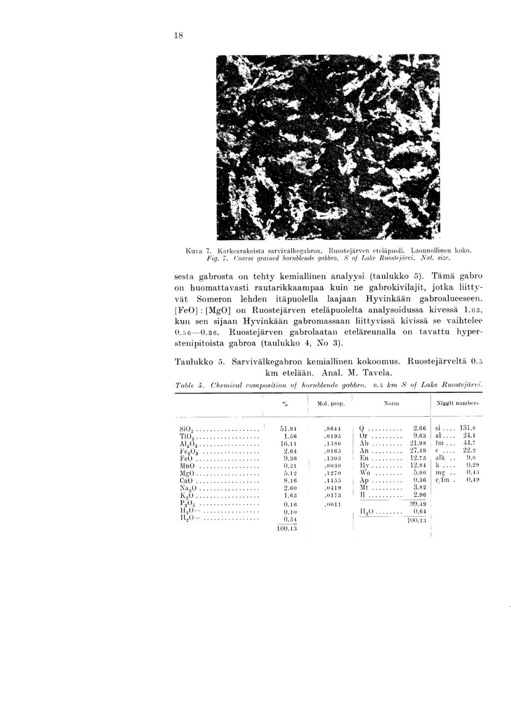 1 8 Kuva 7. Karkearakeista sarvivallregabroa. Ruostejarven etelapuoli. Laonnollinen koko. Fig. 7. Coarse grained hornblende gabbro. S of Lake Ruostejiirvi. Nat. size.