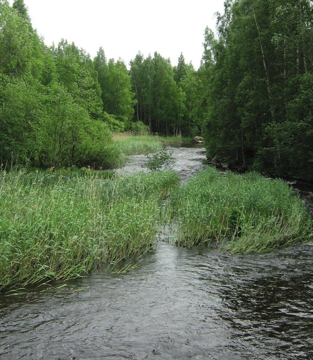 MD 26 Suomen