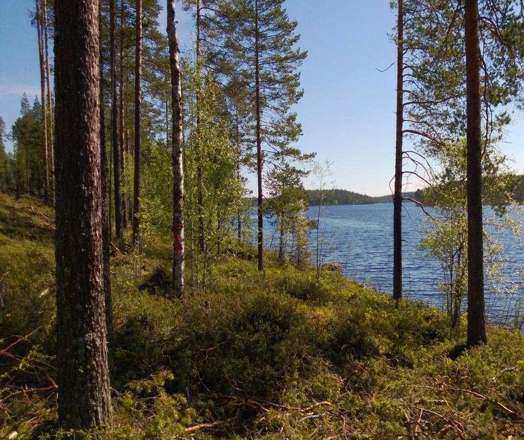 Ekosysteemipalvelut - vesiensuojelu Vesien laadun ylläpito: valuma-aluesuunnittelu toimijoiden