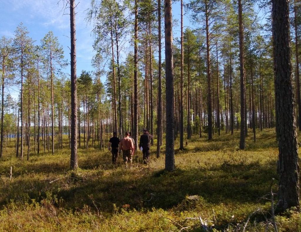 Mitä ekosysteemipalveluita missäkin?