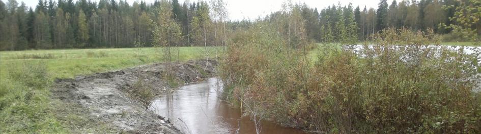 Kuva 6. Perattua Myllyjokea 19.9.213 puretulta padolta alavirtaan. Kuvaaja: Kari Saari. Kuva 7.