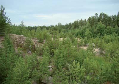 tulisi pienimmät lammet ja kosteikot täyttää ja suurempia lampia joko täyttää tai yhdistää. Alueella on vielä aktiivista maa-ainesten ottoa kahdessa kuopassa.