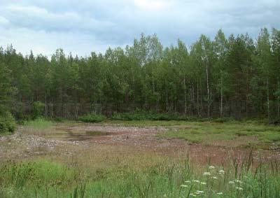 0258604 Lähdesuo Alueen kuopista lähes kaikissa on tarvetta kerrospaksuuden lisäykseen tai tarkistukseen ja matalien lampien tai kosteikkojen täyttöön. Lisäksi useissa kuopissa on roskia.