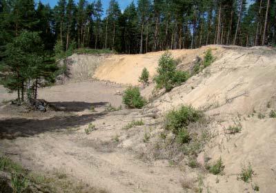 0258651 Koski Pohjavesialueella on yksi kotitarveottoalue. Kuopasta on otettu aineksia niin paljon, että maa-ainesluvan tarpeellisuus tulee tarkistaa. Inkereen kuopasta 2 on myös kallioainesten ottoa.