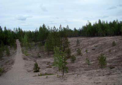 2 Osin jälkihoidettu Alue on siistitty ja muotoiltu, mutta pintakerrokseksi ei ole levitetty