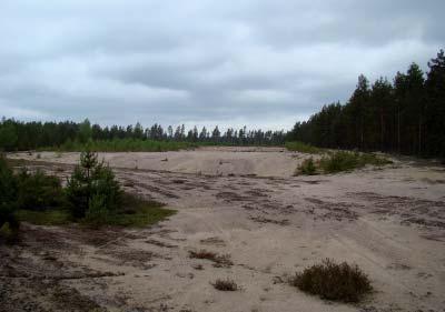 Alueelle on tehty osittain puustoistutuksia tai puusto on levinnyt alueelle luonnostaan.