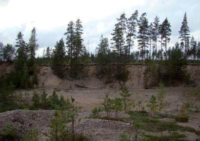 Pääosin jälkihoidettu kuoppa, johon kasvillisuus on paikoin levinnyt.