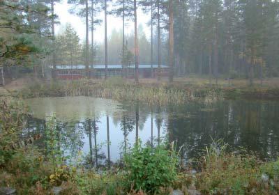 Kuoppien 7 ja 10 alueella on pieniä lampia ja kosteikkoja, jotka tulisi täyttää tai kunnostaa. Kuoppa 9 on kalliolouhosalue, jossa on useita varastokasoja. Alueella on useita teitä.