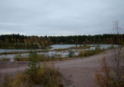 matalia lampia tai kosteikkoja. Kuopan 9 alueella on asfaltti- ja maa-aineskasoja, joiden laatu tulee selvittää sekä alueen pienempiä lampia ja kosteikkoja tulee täyttää.