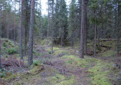 Kuopan 11 alueella on useita pieniä ja matalia lampia, jotka tulisi täyttää. Kuopan 11 alueella oleva romuauto. Kuopan 11 alueella olevat pienet lammet ja kosteikot tulisi täyttää.