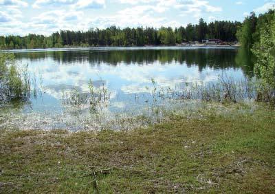 Kunnostustarveluokittelu 0 Kunnostustarve erittäin suuri Kunnostustarve erittäin suuri yleisessä käytössä olevan suuren uimalammen takia.