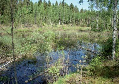 Laitila Pohjavesialueet Laitilan alueella sijaitsee yhteensä 9 pohjavesialuetta, joista seitsemän on I-luokan ja kaksi II-luokan pohjavesialuetta.